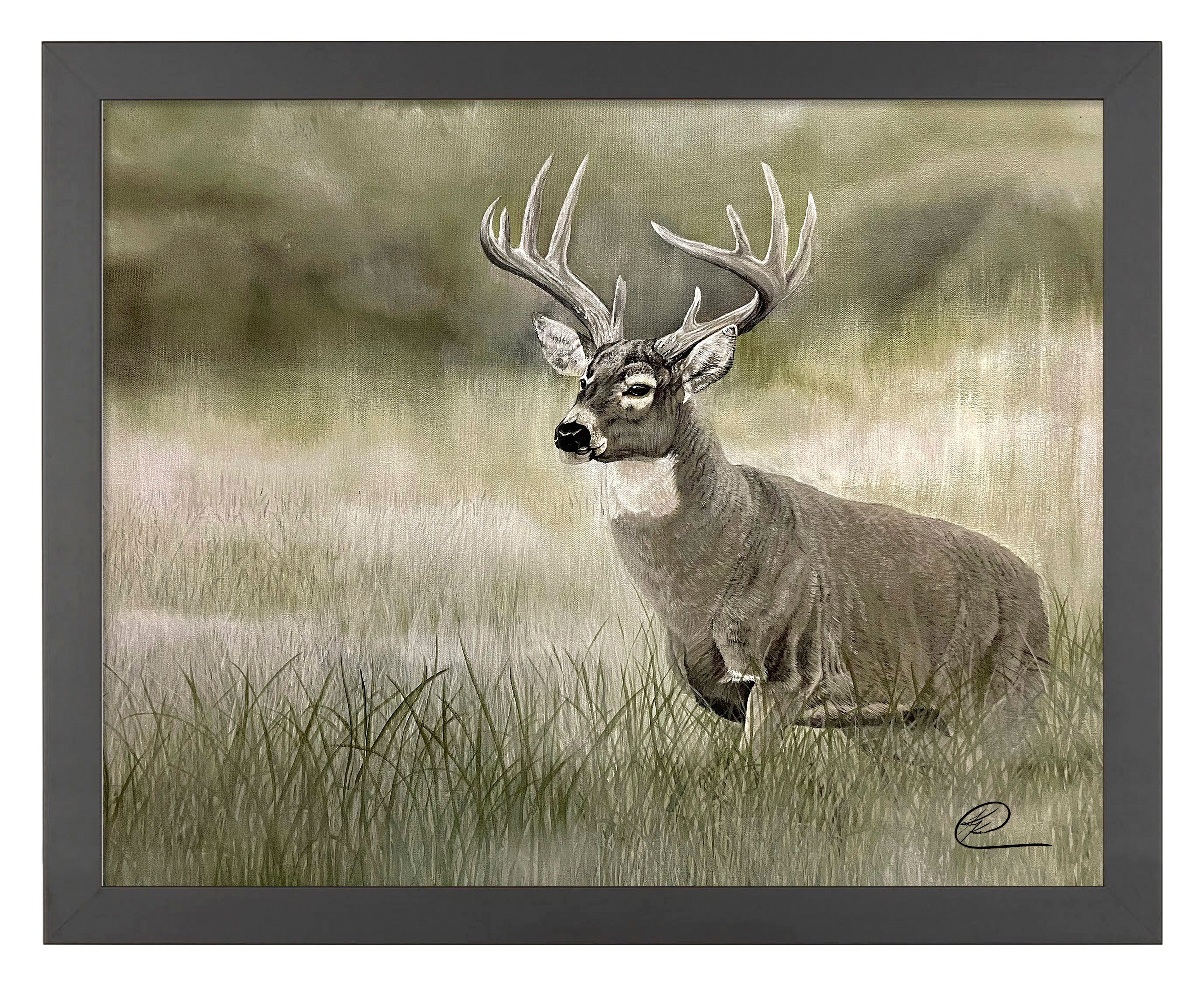 Image of Olive Whitetail Deer - Art Prints