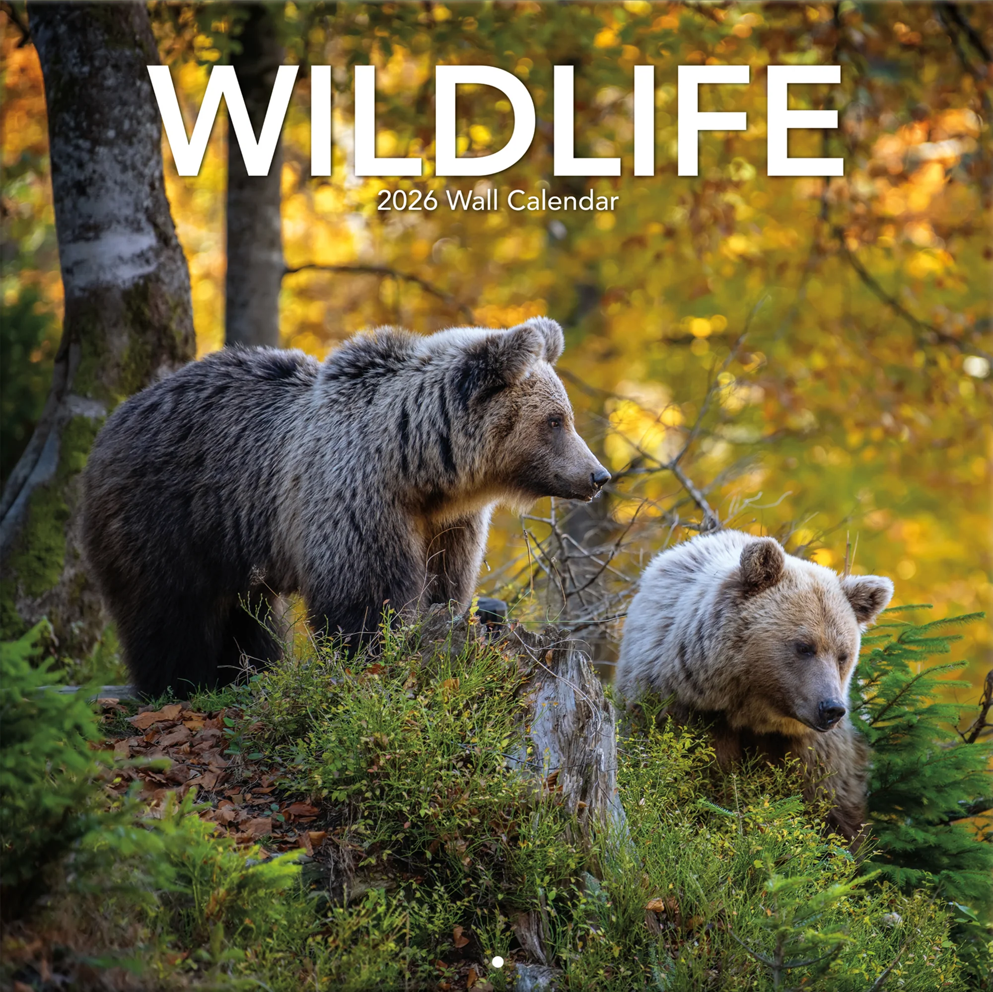 Image of Wildlife 12" x 12" - Photo Wall Calendar