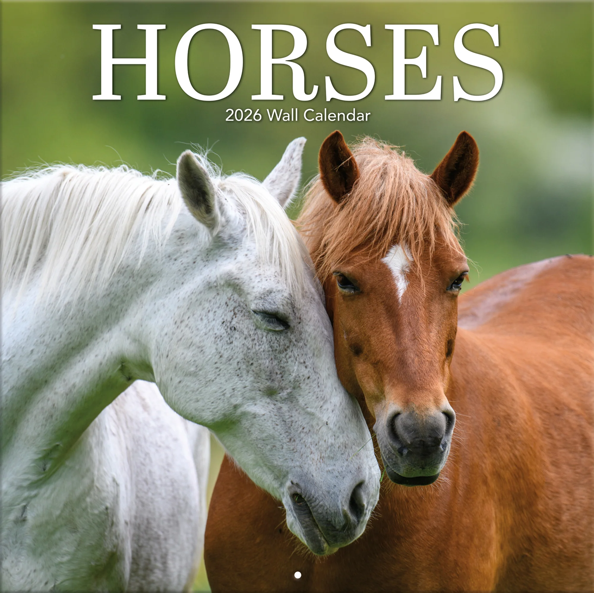 Image of Horses 12" x 12" - Photo Wall Calendar