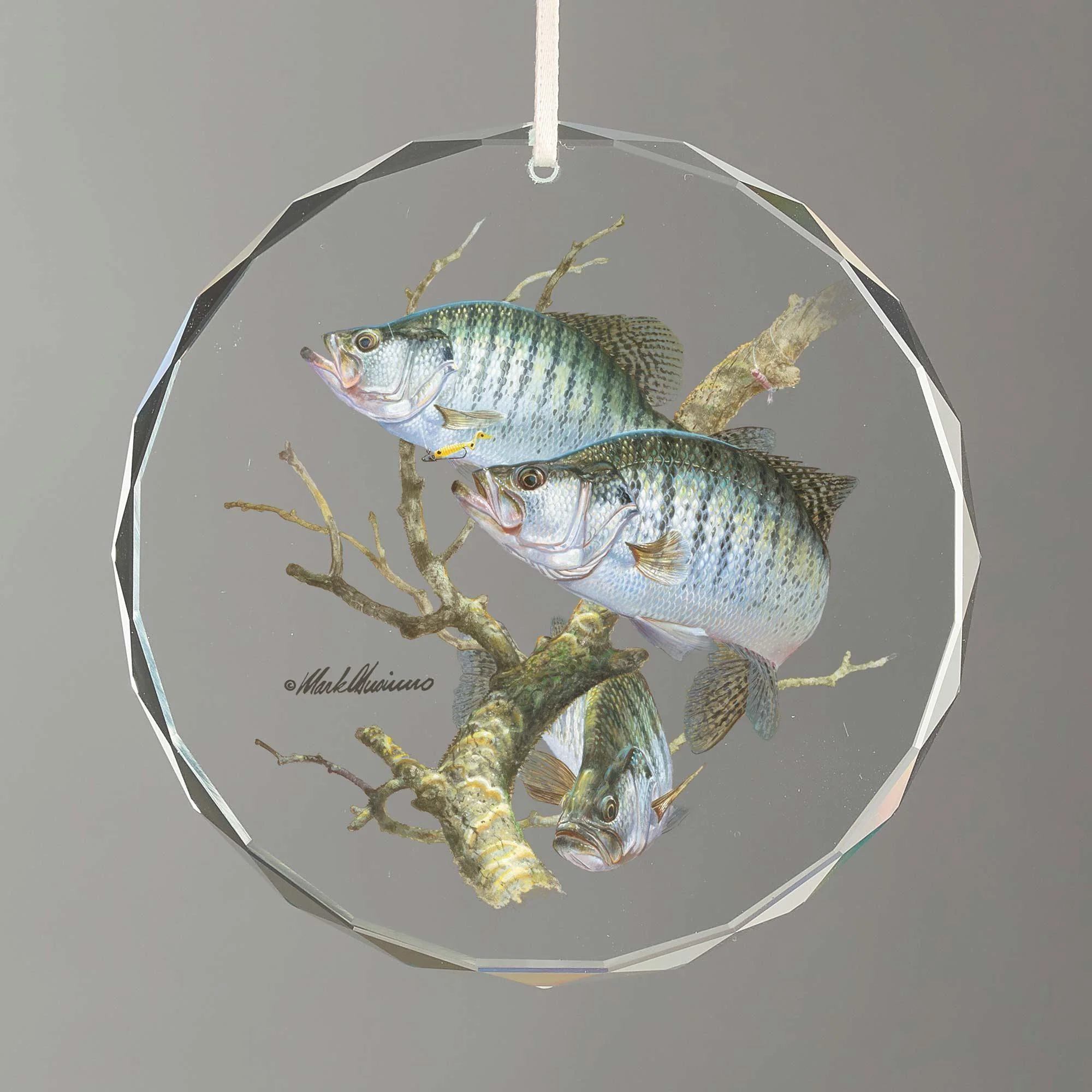 Image of Crappies