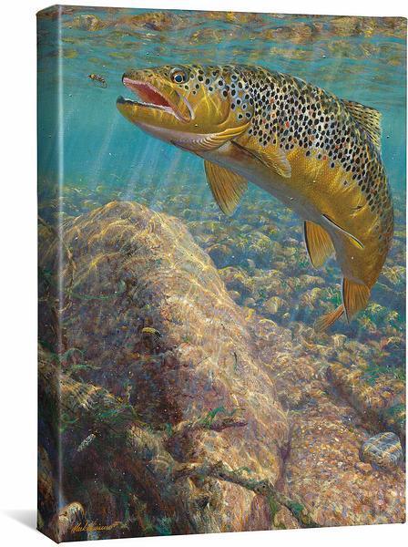 Image of Bad Decision—Brown Trout