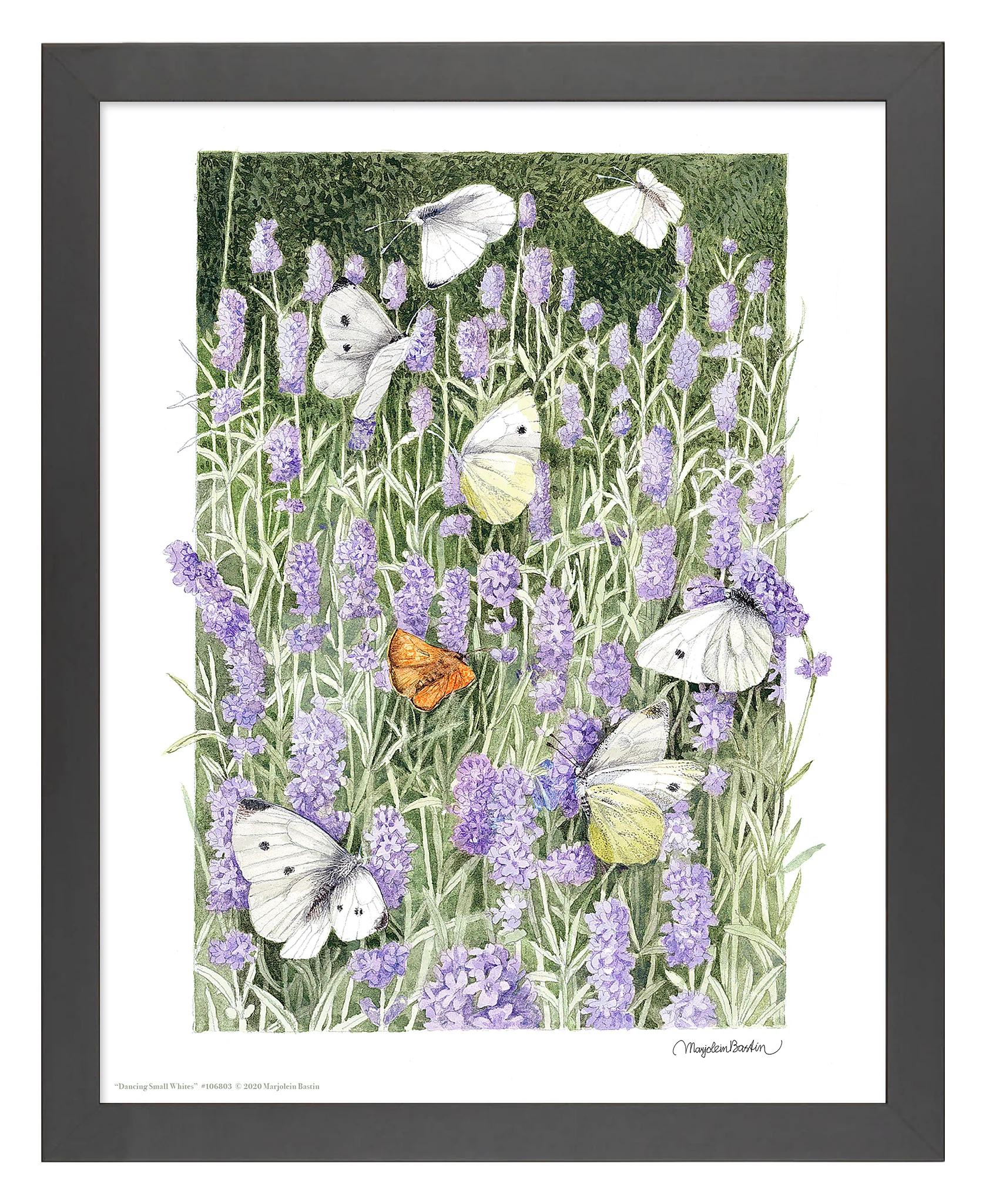 Image of Dancing Small Whites - Art Prints