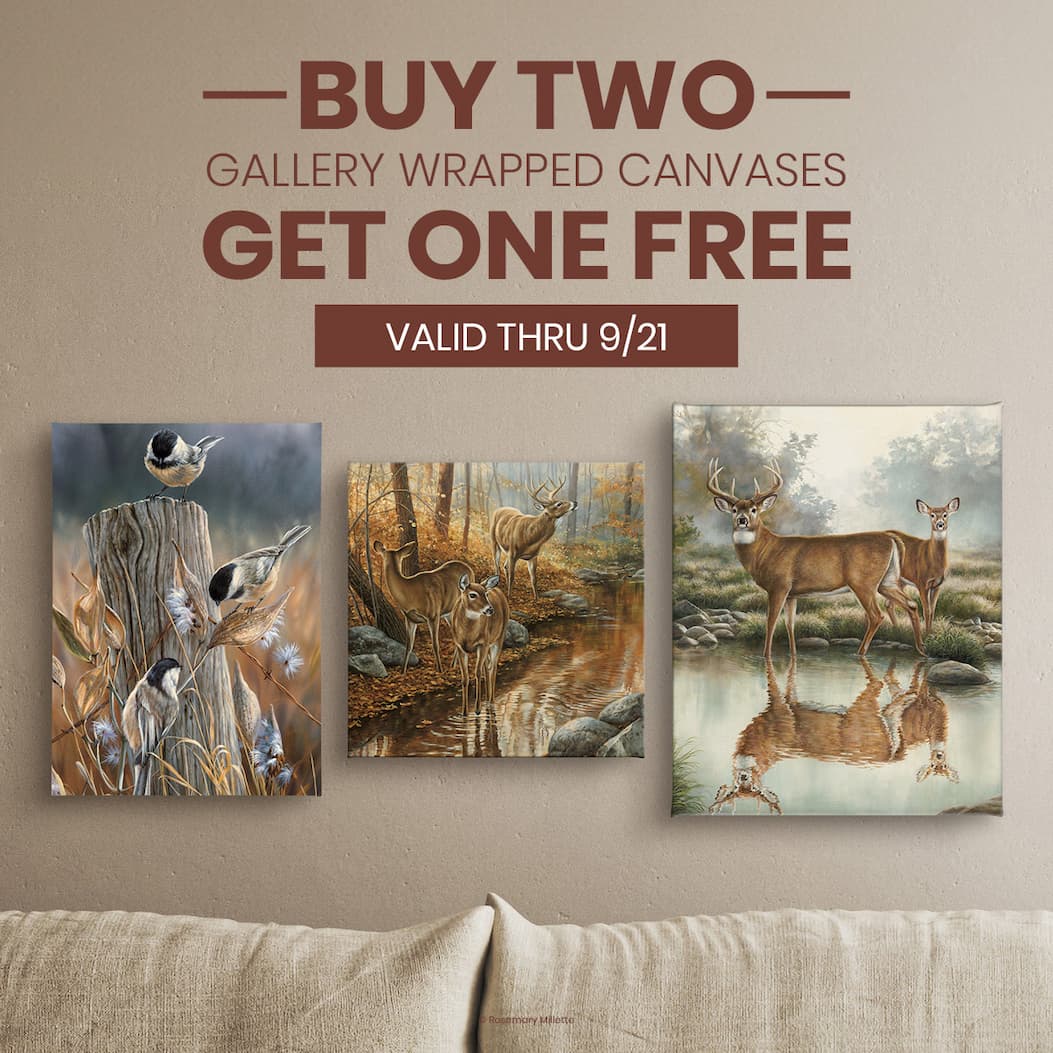 Buy 2, Get 1 Free 