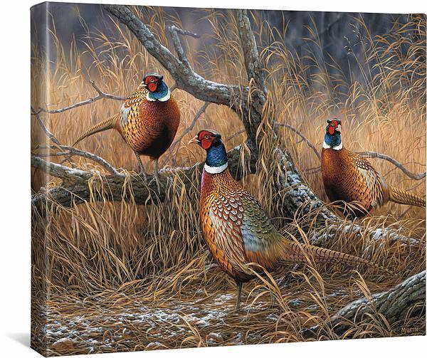 Image of First Dusting—Pheasants - 16" x 20.5" Gallery Wrapped Canvas