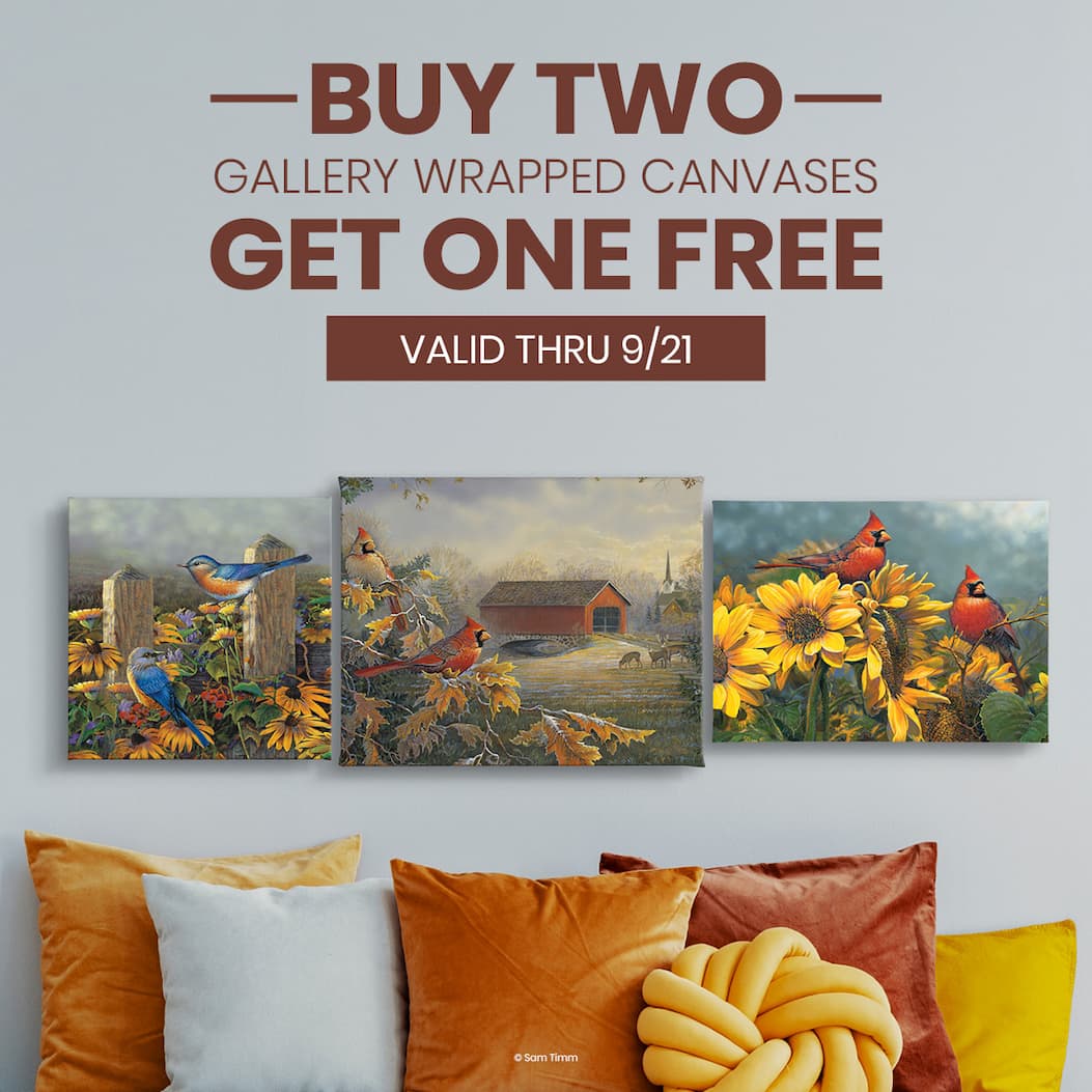 Buy 2, Get 1 Free 