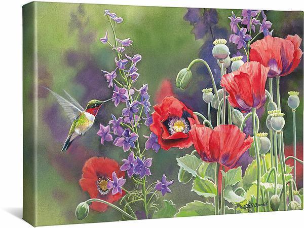 Image of Jen's Poppies