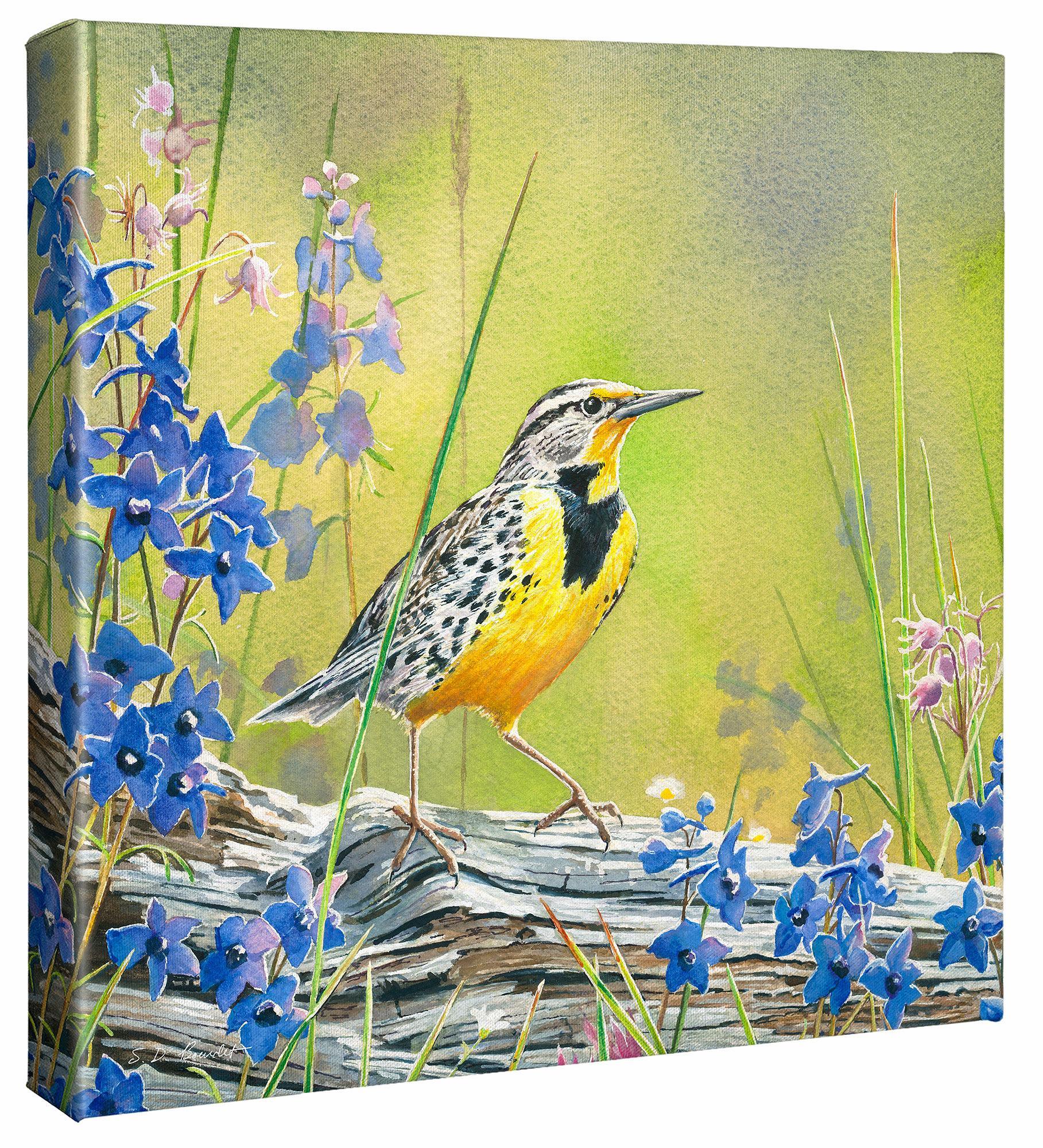 Image of Lark and Larkspur