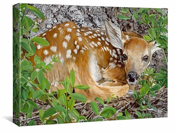 Image of Woodland Wonder—Fawn