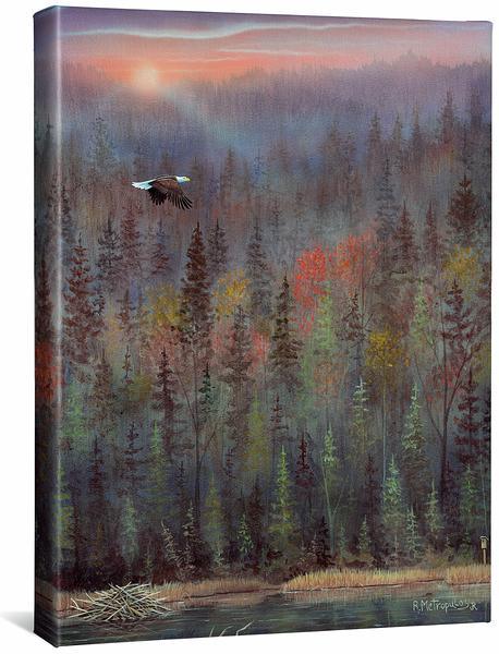 Image of Misty Forest—Bald Eagle