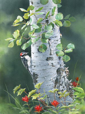 susan-bourdet