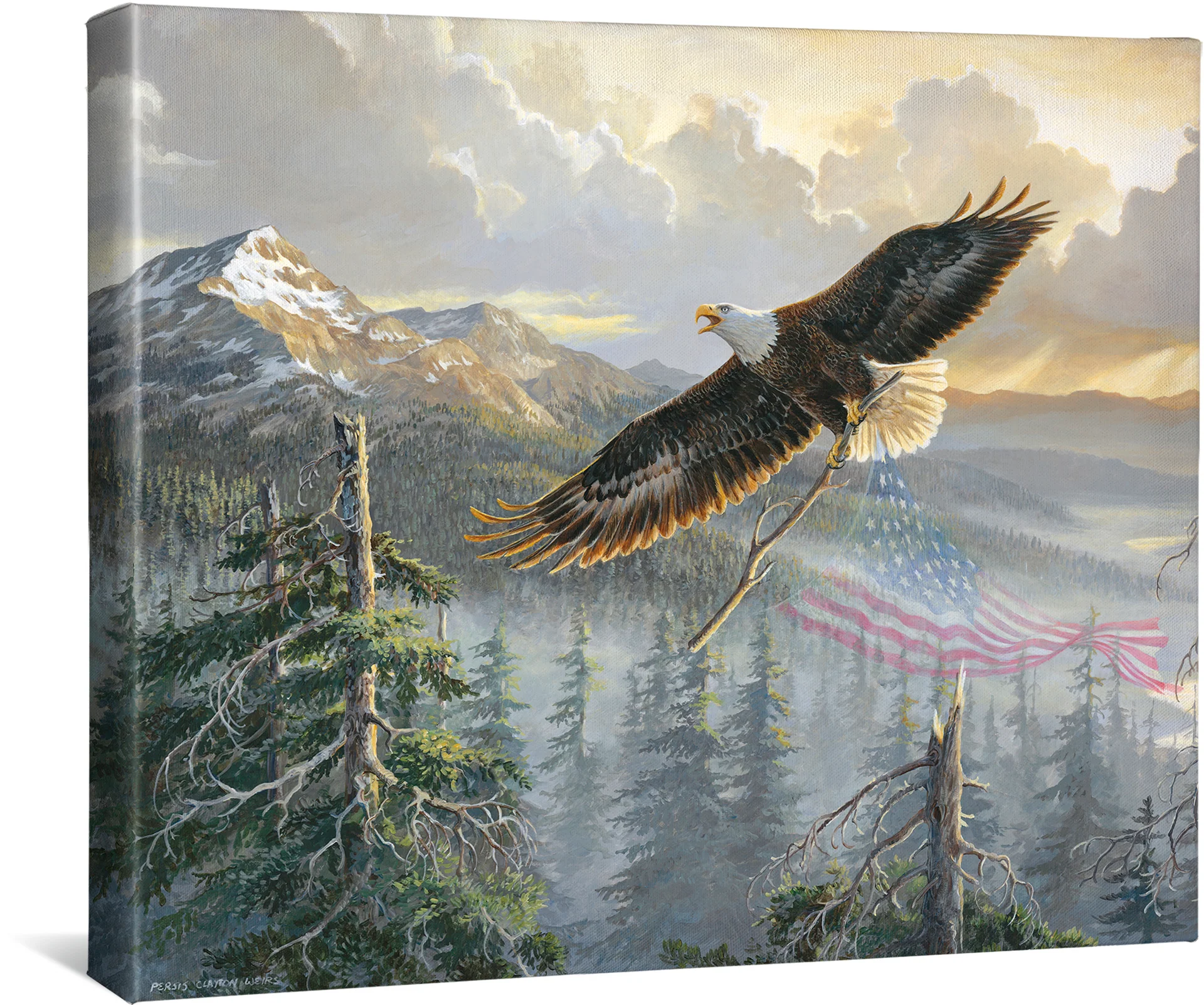 Image of Rebuilding America - Bald Eagle - 16" x 20.5" Gallery Wrapped Canvas