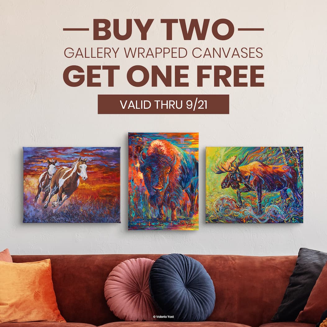 Buy 2, Get 1 Free 