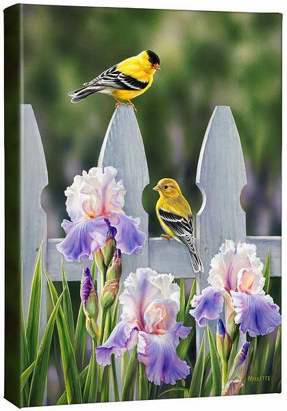 Image of Picket Fence—Goldfinches