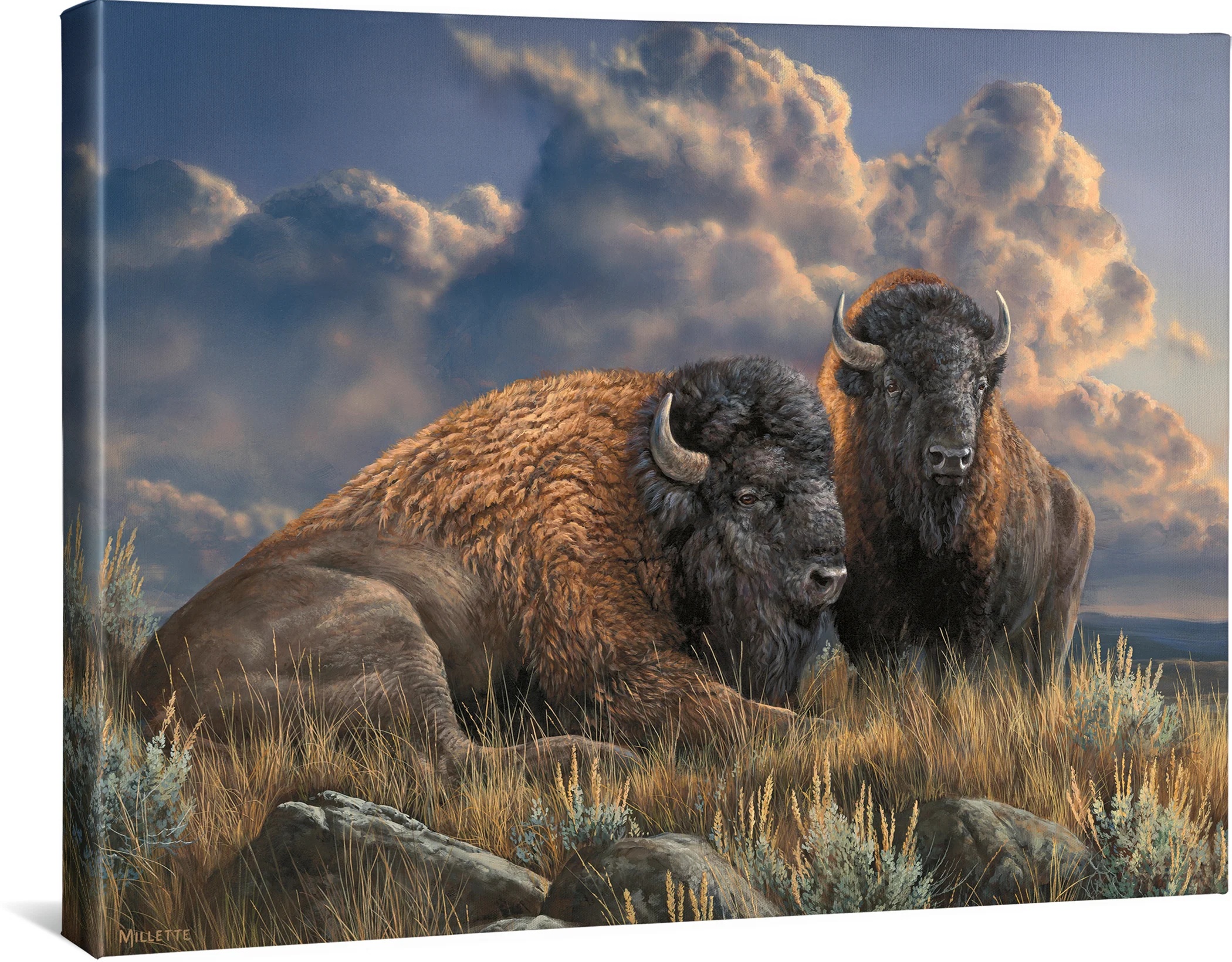 Image of Distant Thunder - Bison - 19" x 24" Gallery Wrapped Canvas