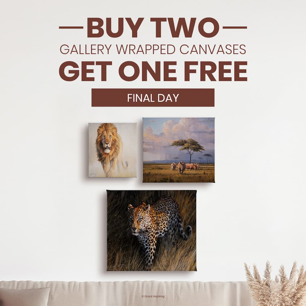 Buy 2, Get 1 Free 