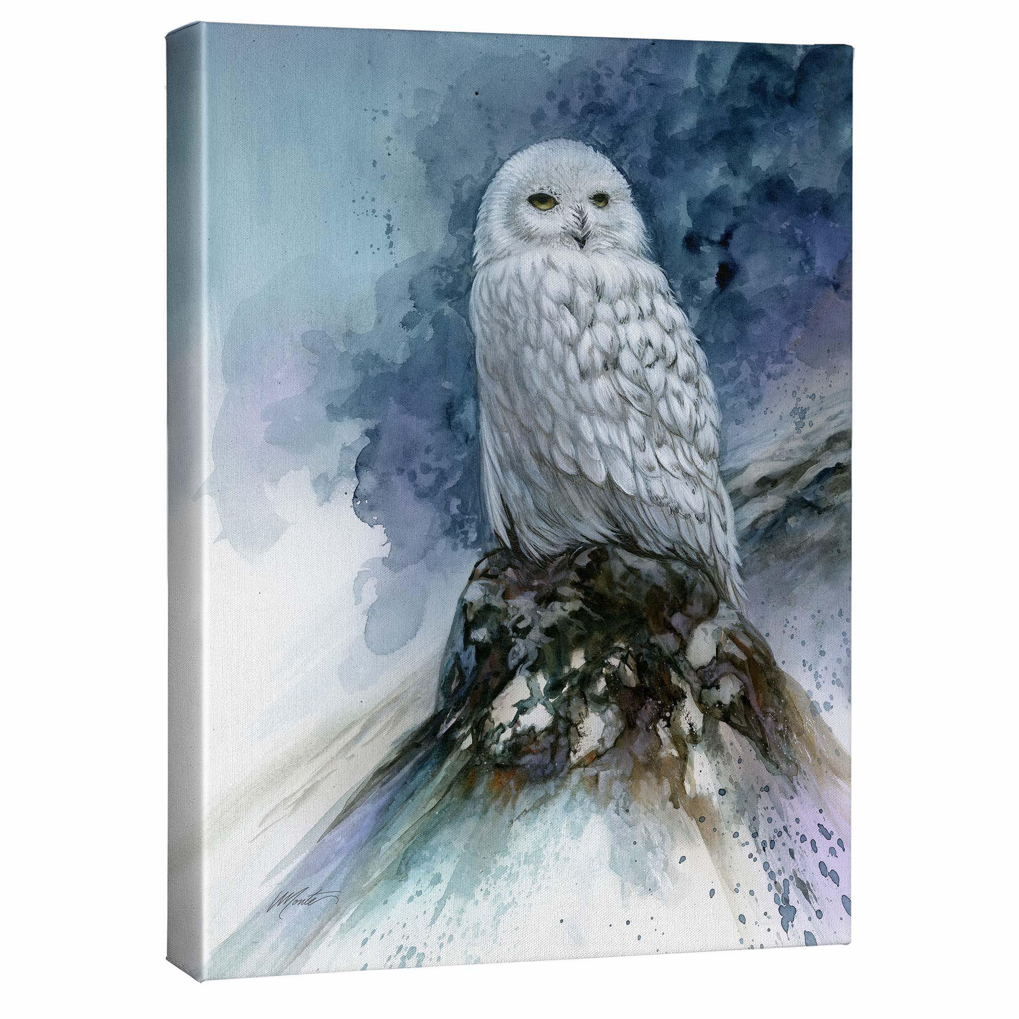 Image of Snow Storm—Snowy Owl