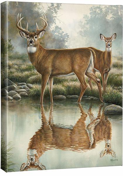 Image of Tranquil Waters