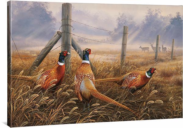 Image of Meadow Mist—Pheasants - 24" x 36" Gallery Wrapped Canvas