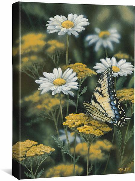 Image of Tiger Swallowtail Butterfly