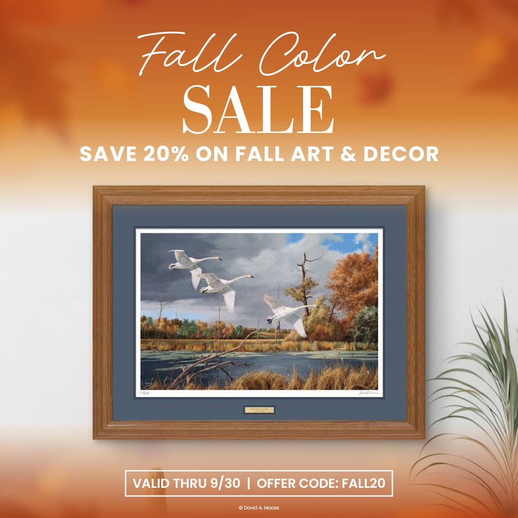 Fall Color Sale