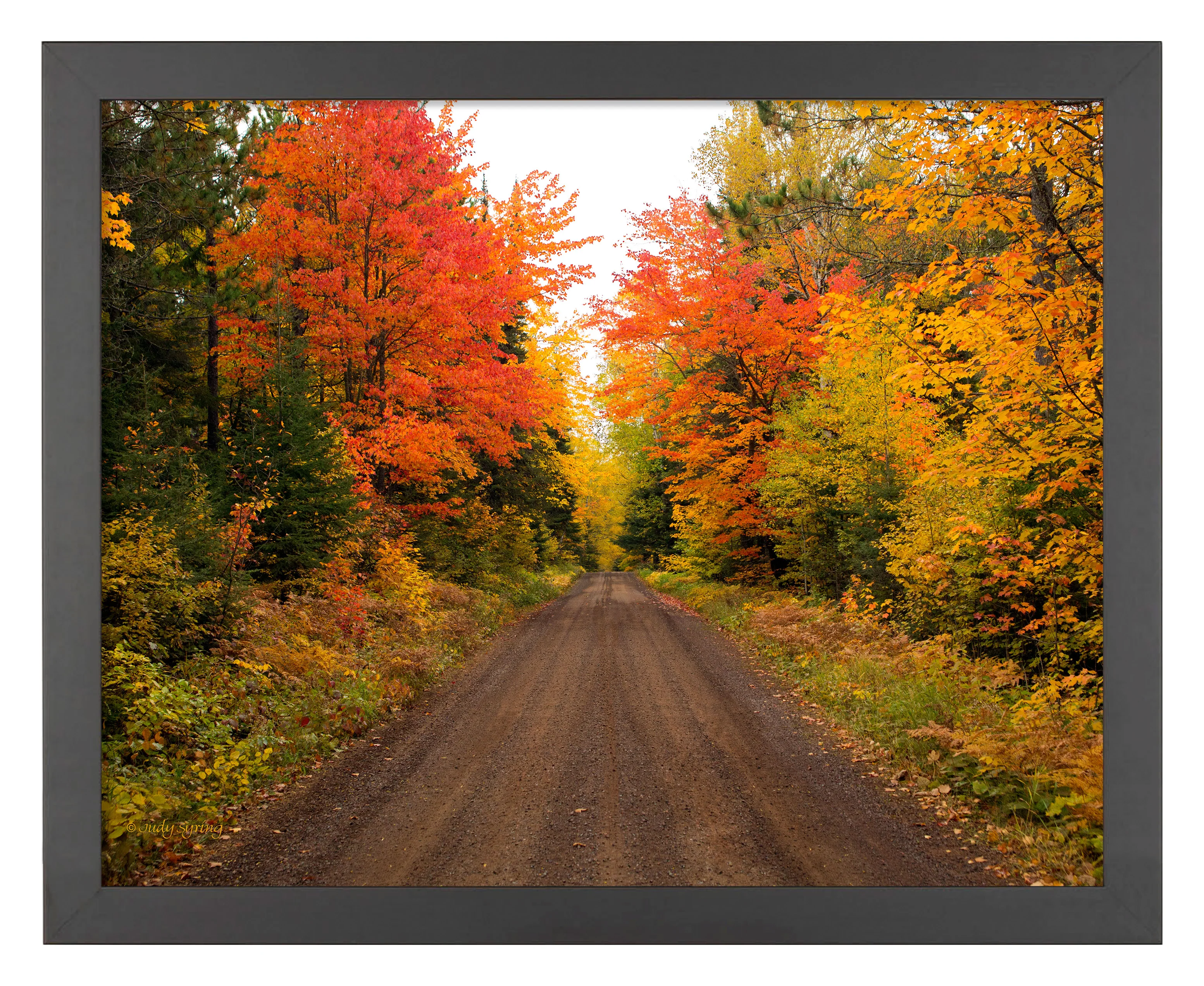 Image of Autumn Bliss - Art Prints