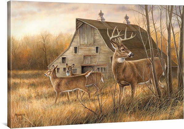 Image of Deserted Farmstead Whitetail Deer - 24" x 36" Gallery Wrapped Canvas