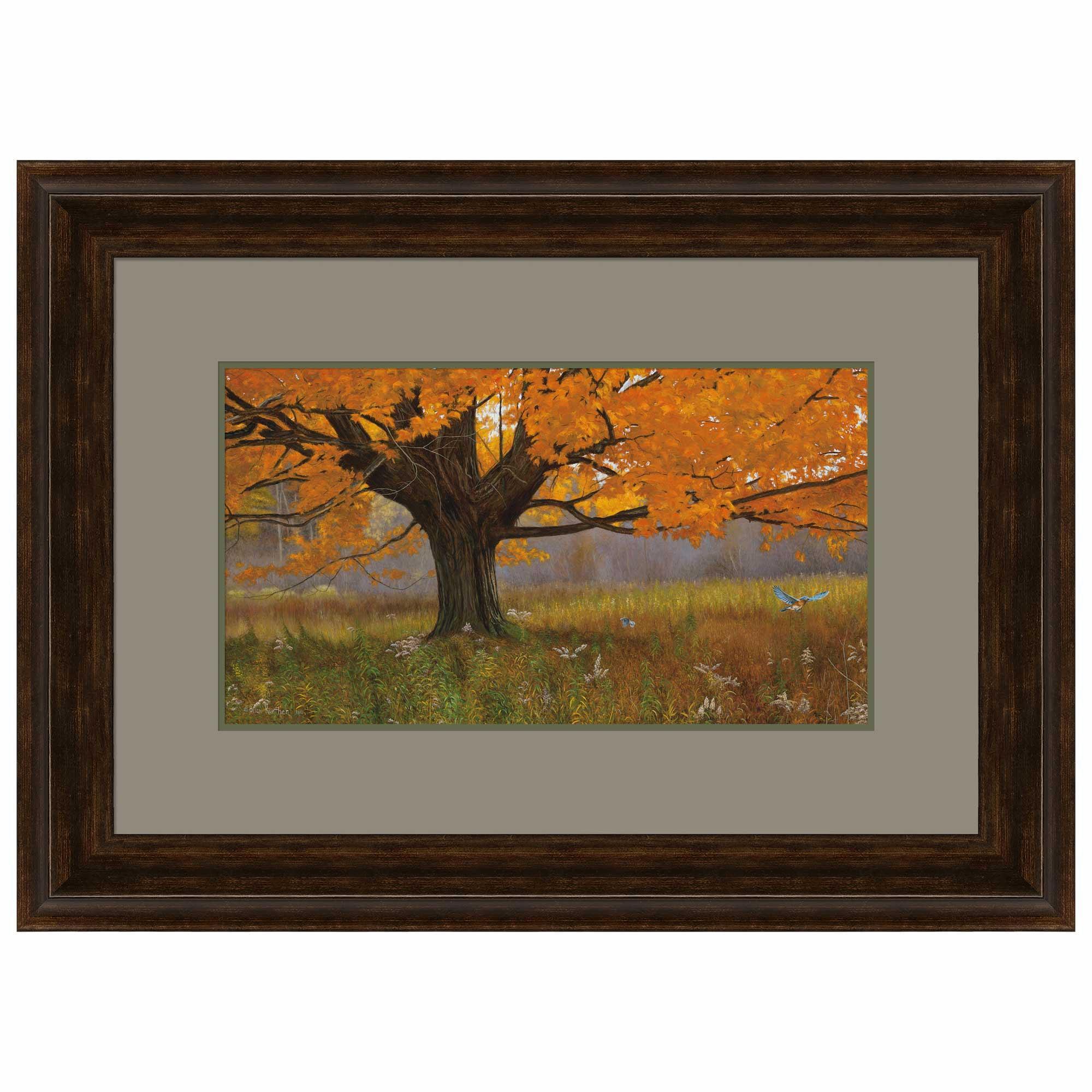 Image of Fall Splendor-Eastern Bluebird - Paper Print