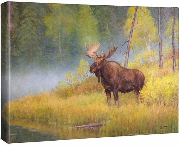 Image of Autumn Bull—Moose