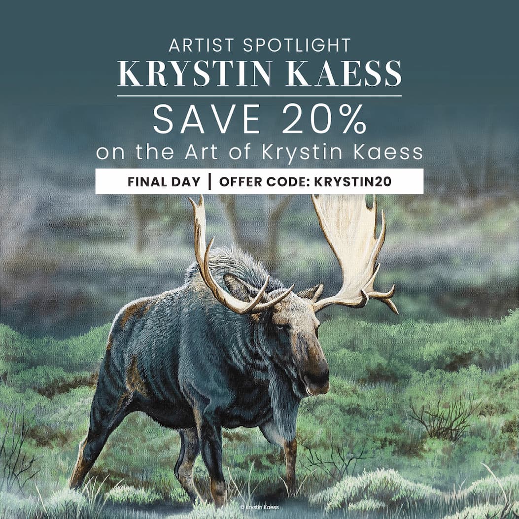 Save 20% on Krystin Kaess