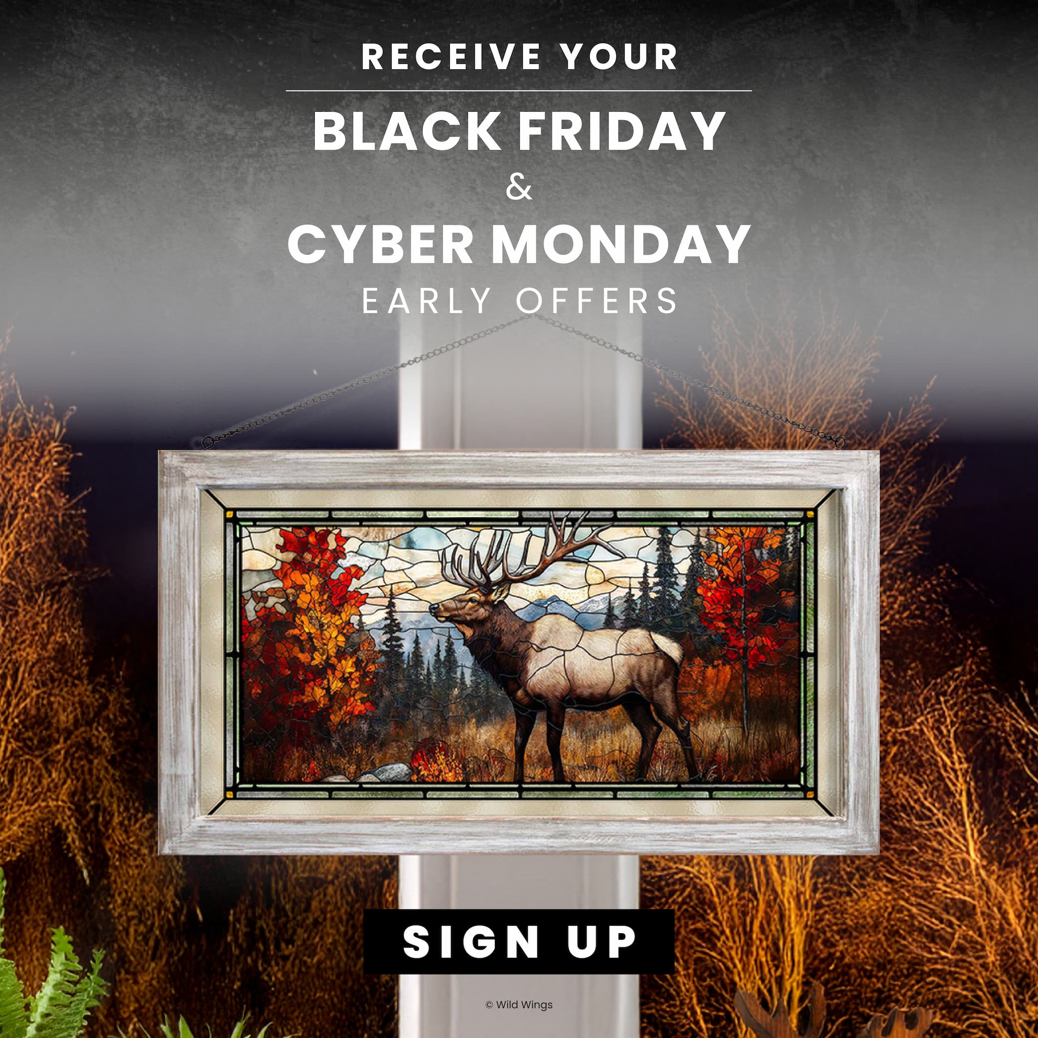 Black Friday Offer Sign Up 