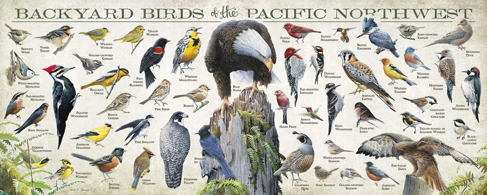 Image of Backyard Birds of the Pacific Northwest