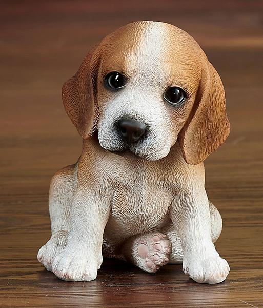 Image of Beagle Puppy