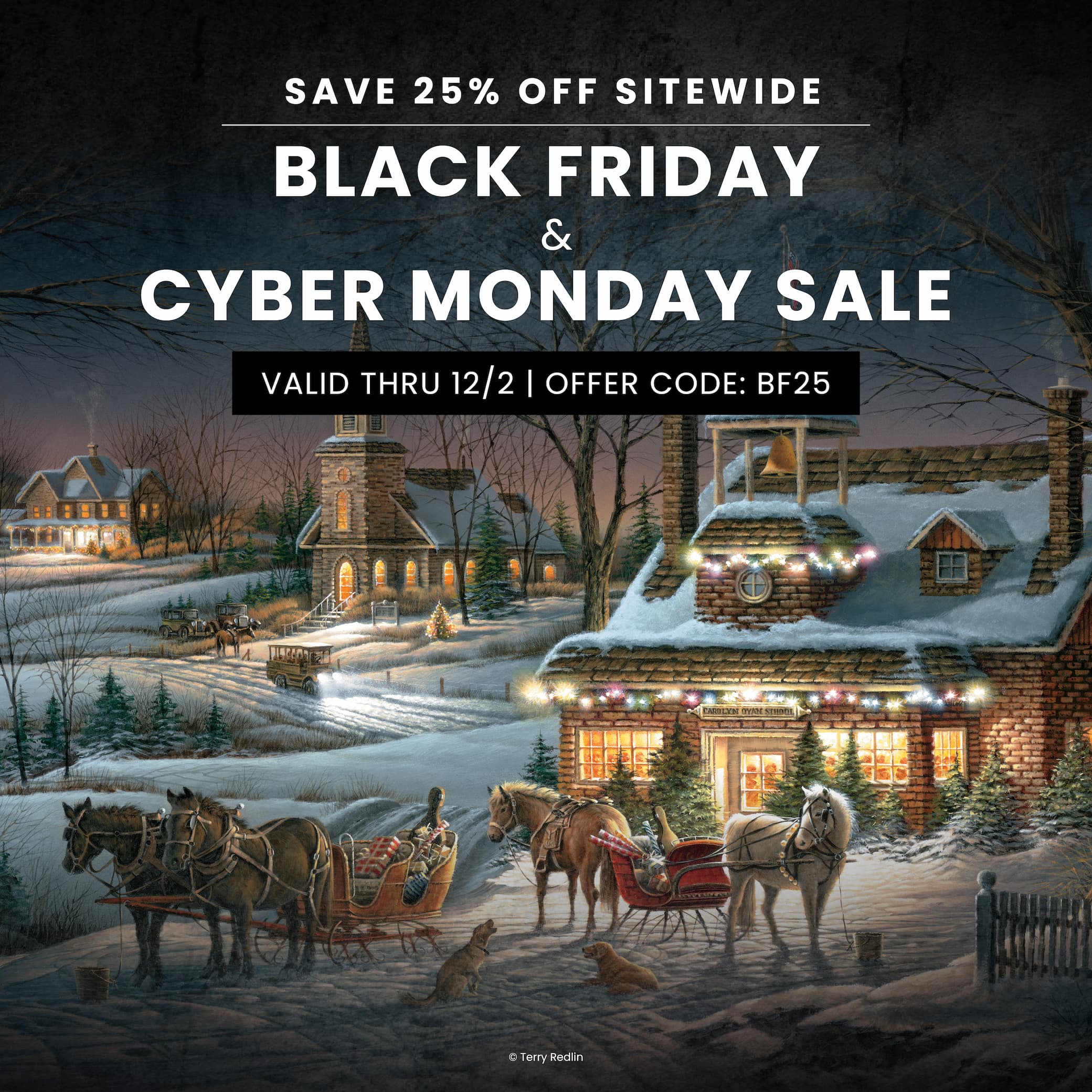 Black Friday Sale