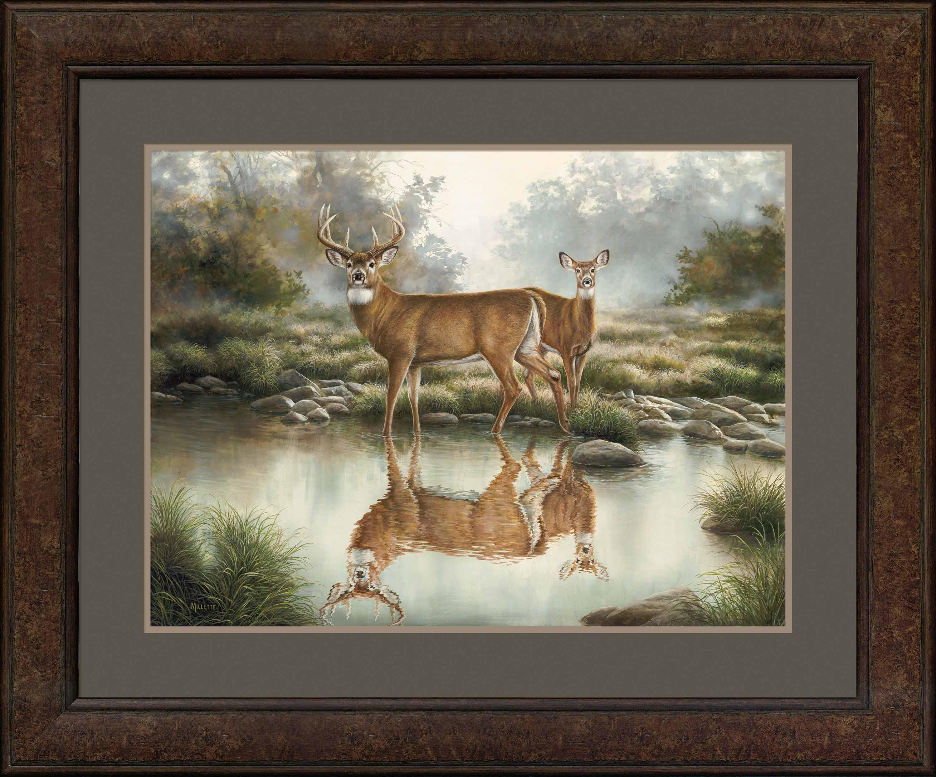 Image of Tranquil Waters—Whitetail Deer - Limited Edition Paper