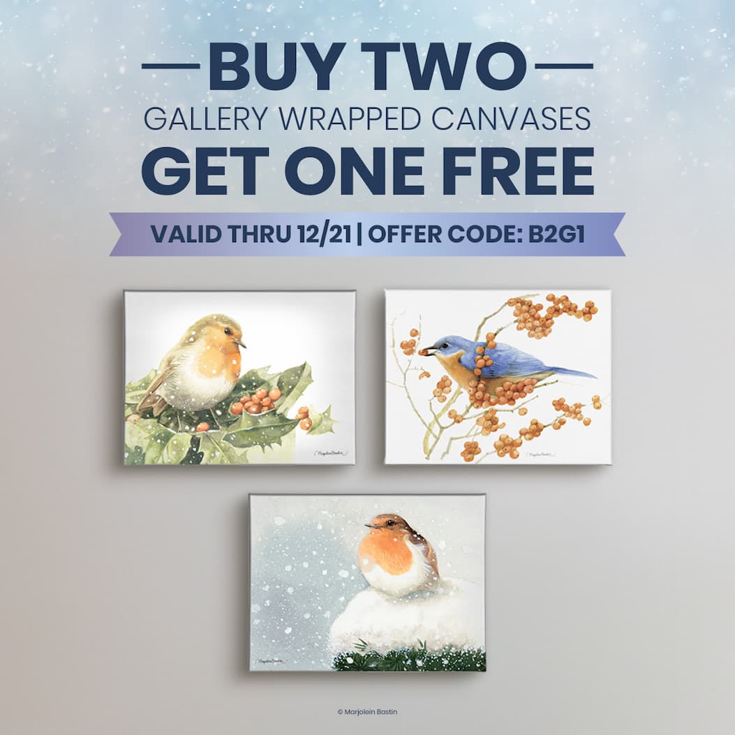Buy 2, Get 1 Free Sale