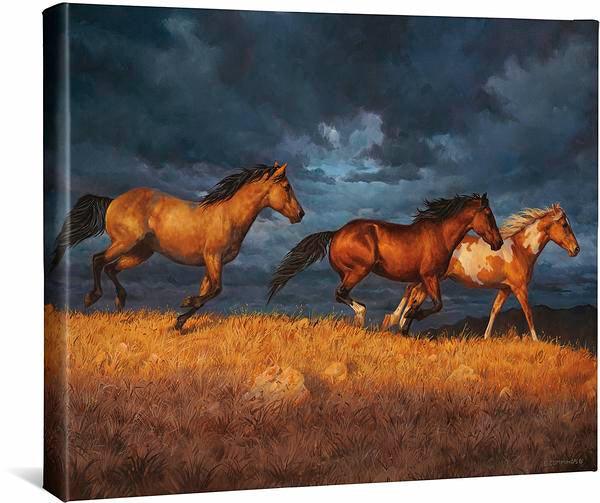 Image of Thunder Ridge - 16" x 20.5" Gallery Wrappped Canvas