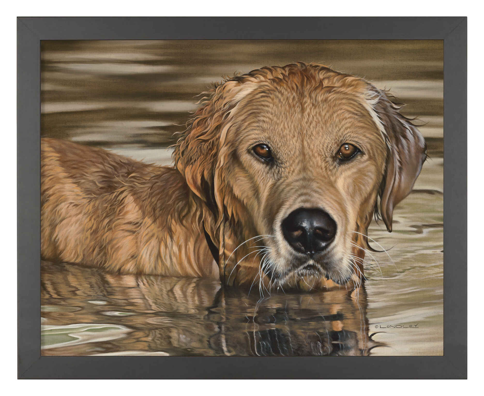 Image of Golden Morning - Golden Retriever - Art Prints