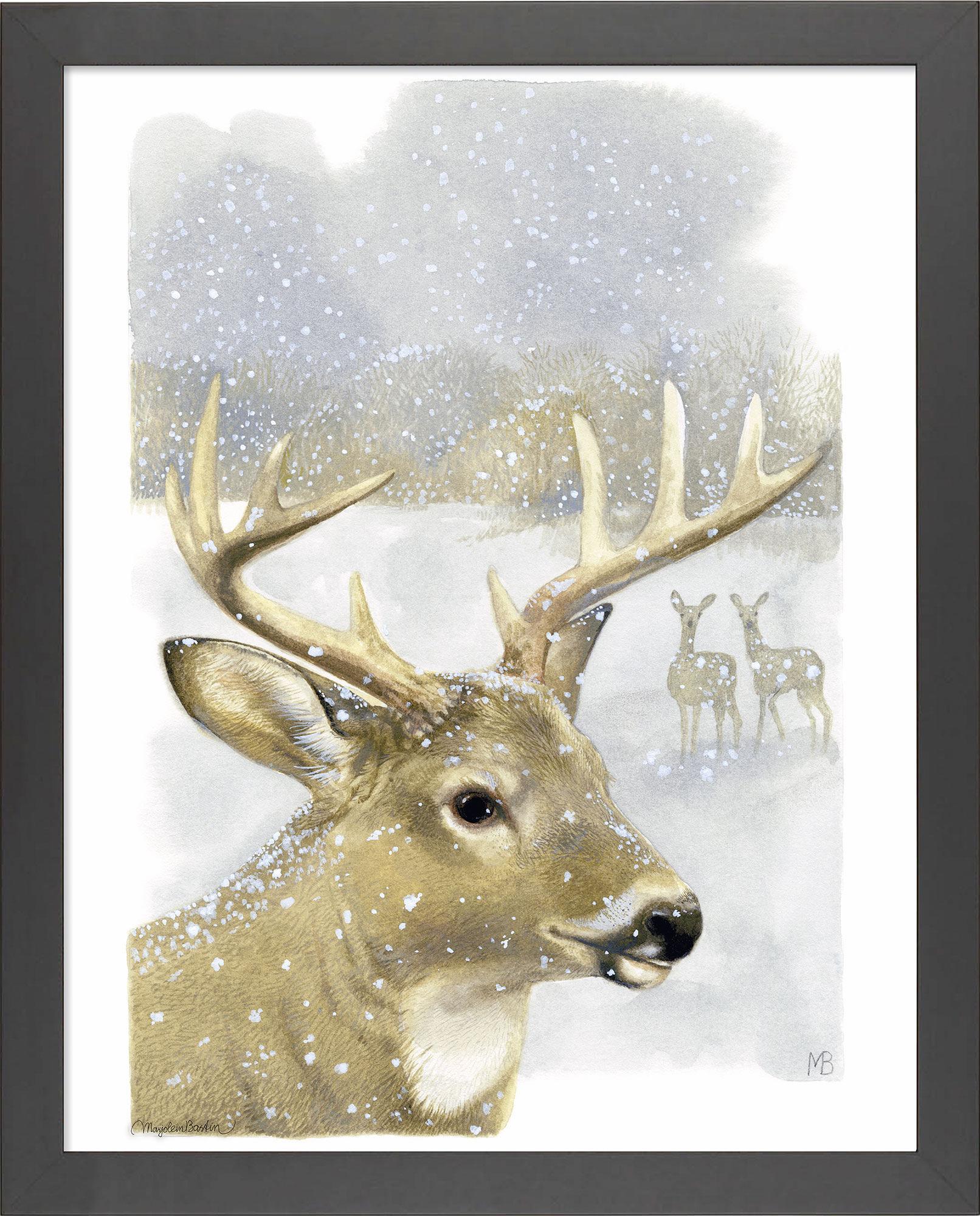 Image of Beautiful Buck