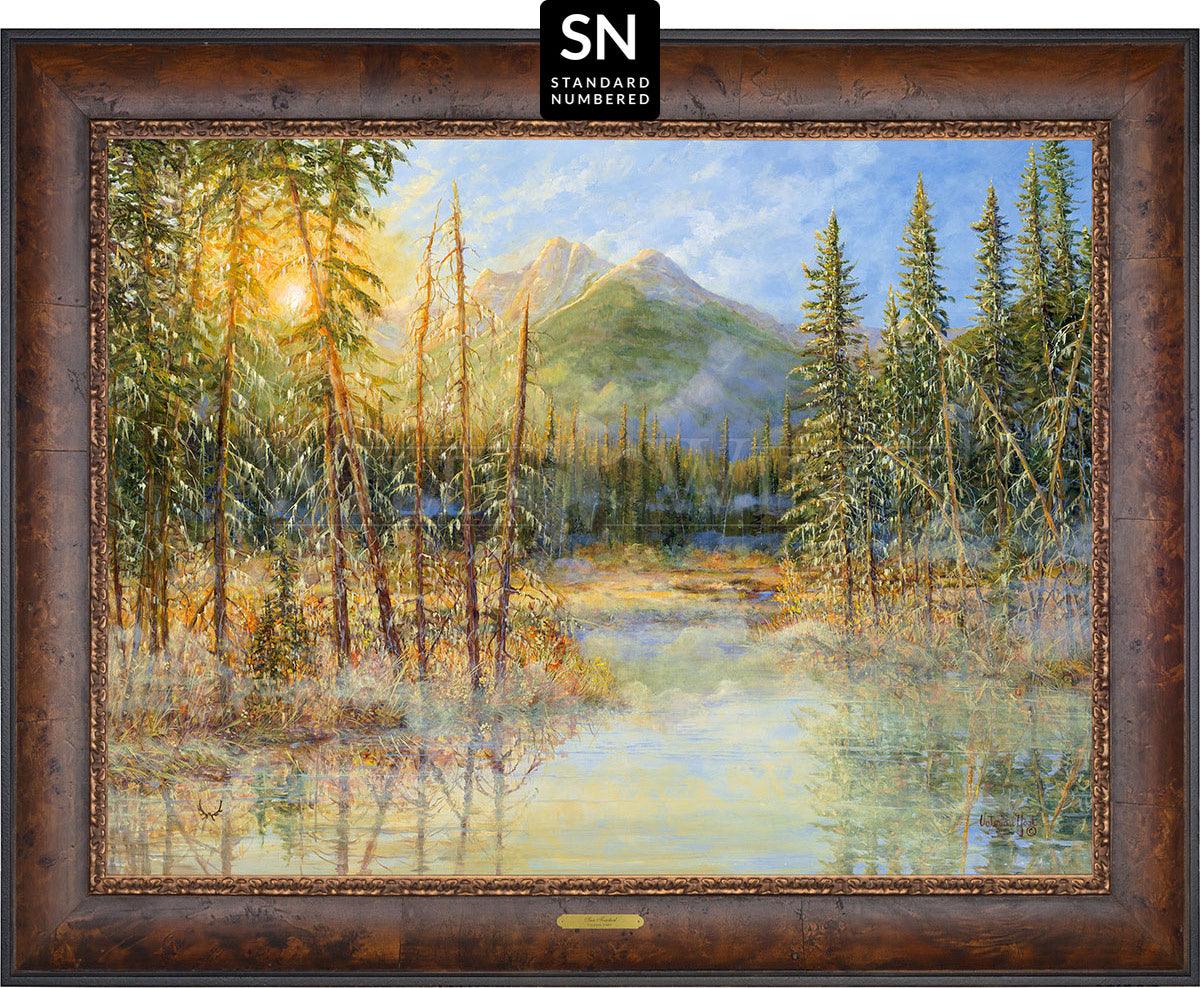 Image of Sun Touched; Standard Numbered Edition (SN)