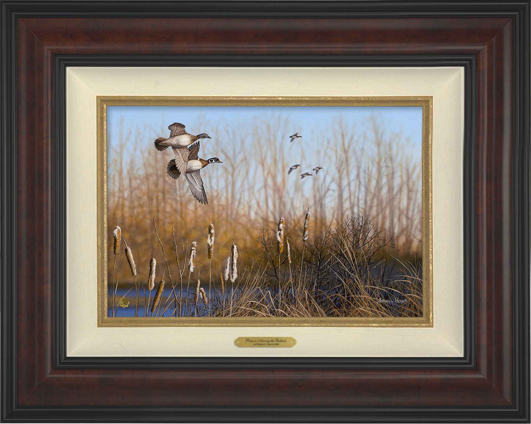 Image of Return Among the Cattails - Wood Ducks; Standard Numbered Edition (SN)