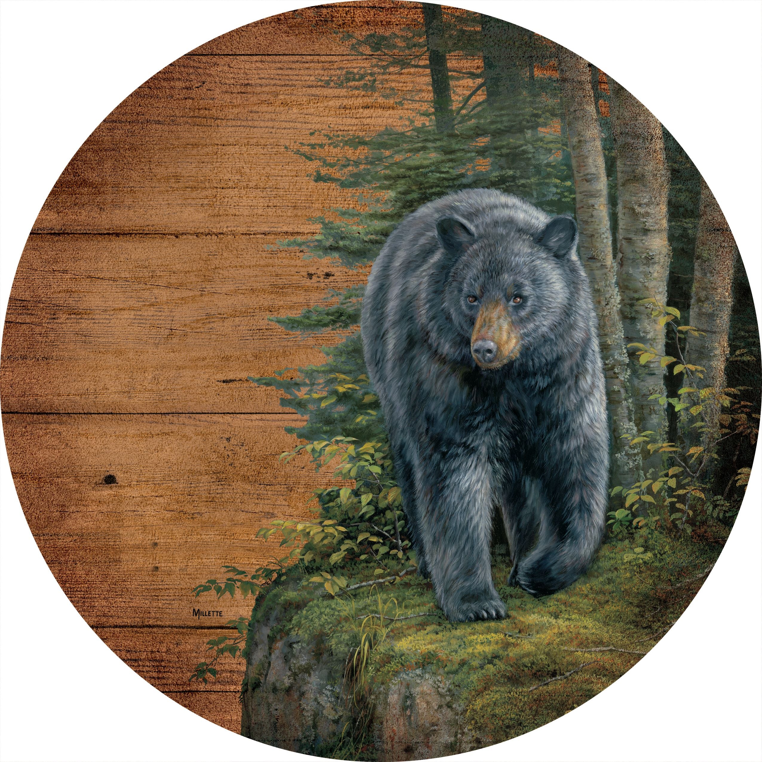 Image of Rocky Outcrop-Black Bear - 12.5" Round Wood Sign