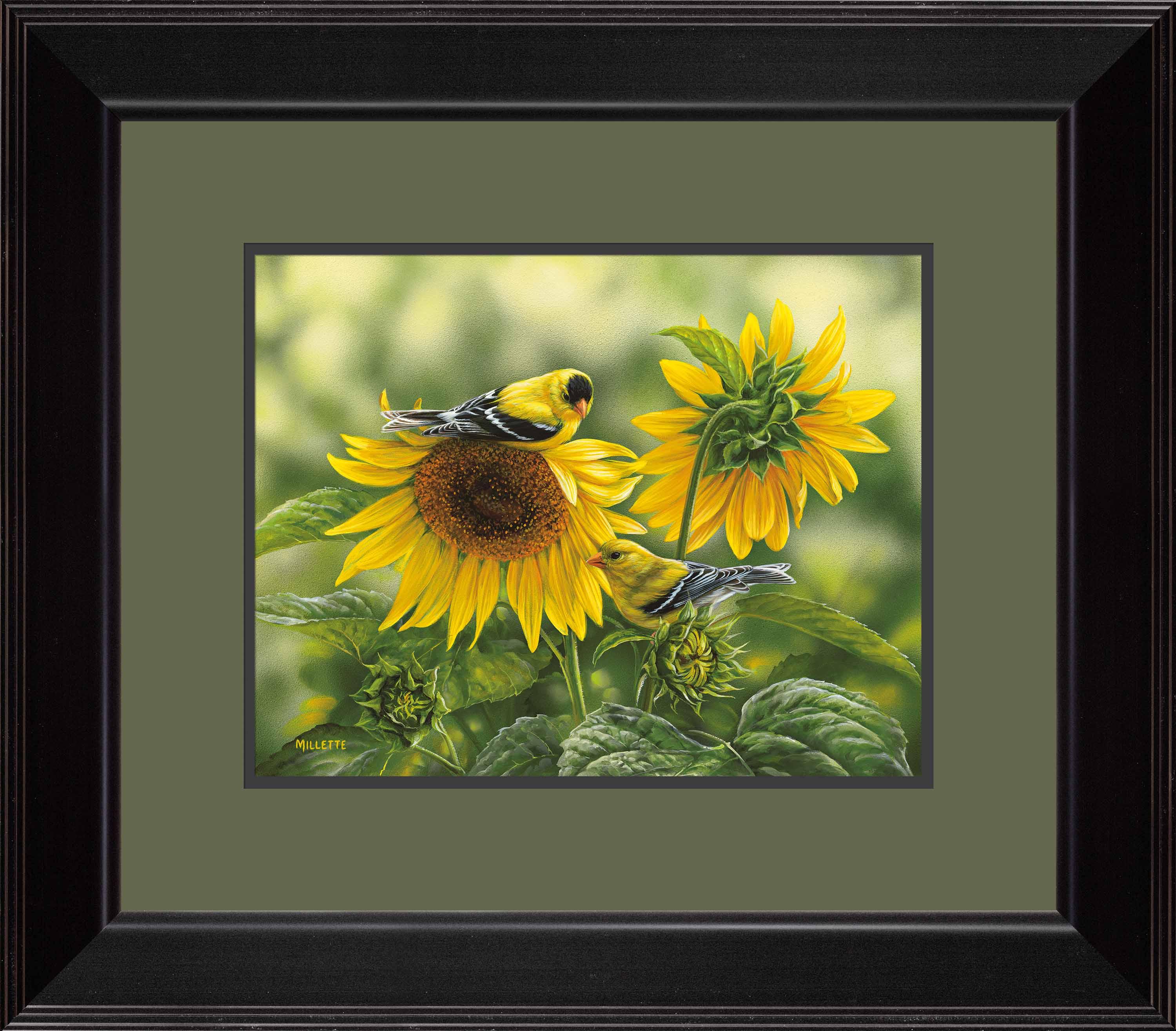 Image of Songbirds vs Goldfinch - Paper Print