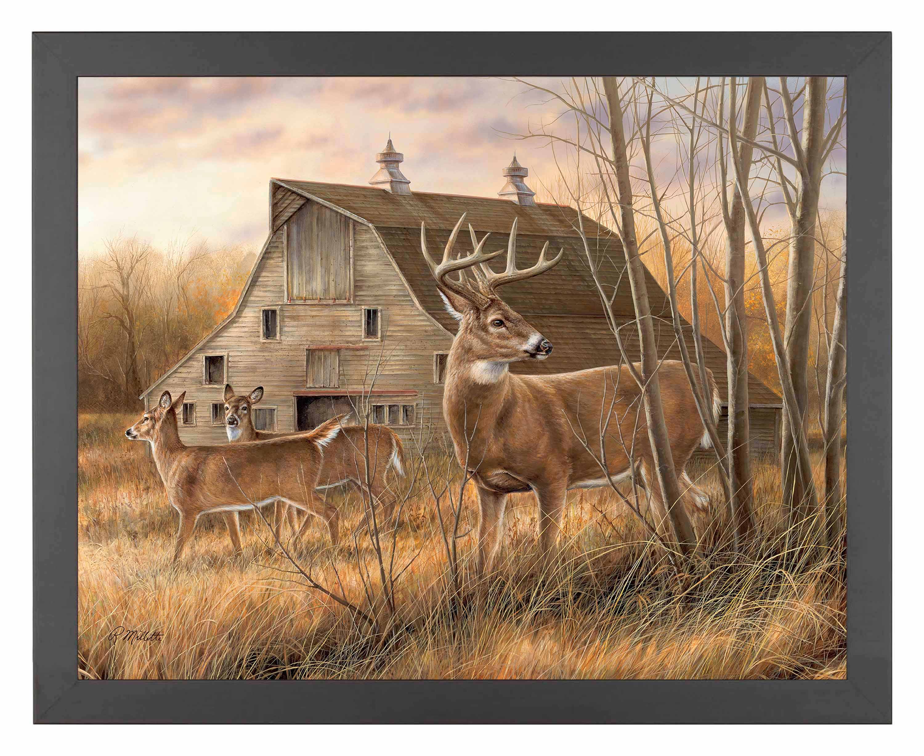 Image of Deserted Farmstead - Art Prints