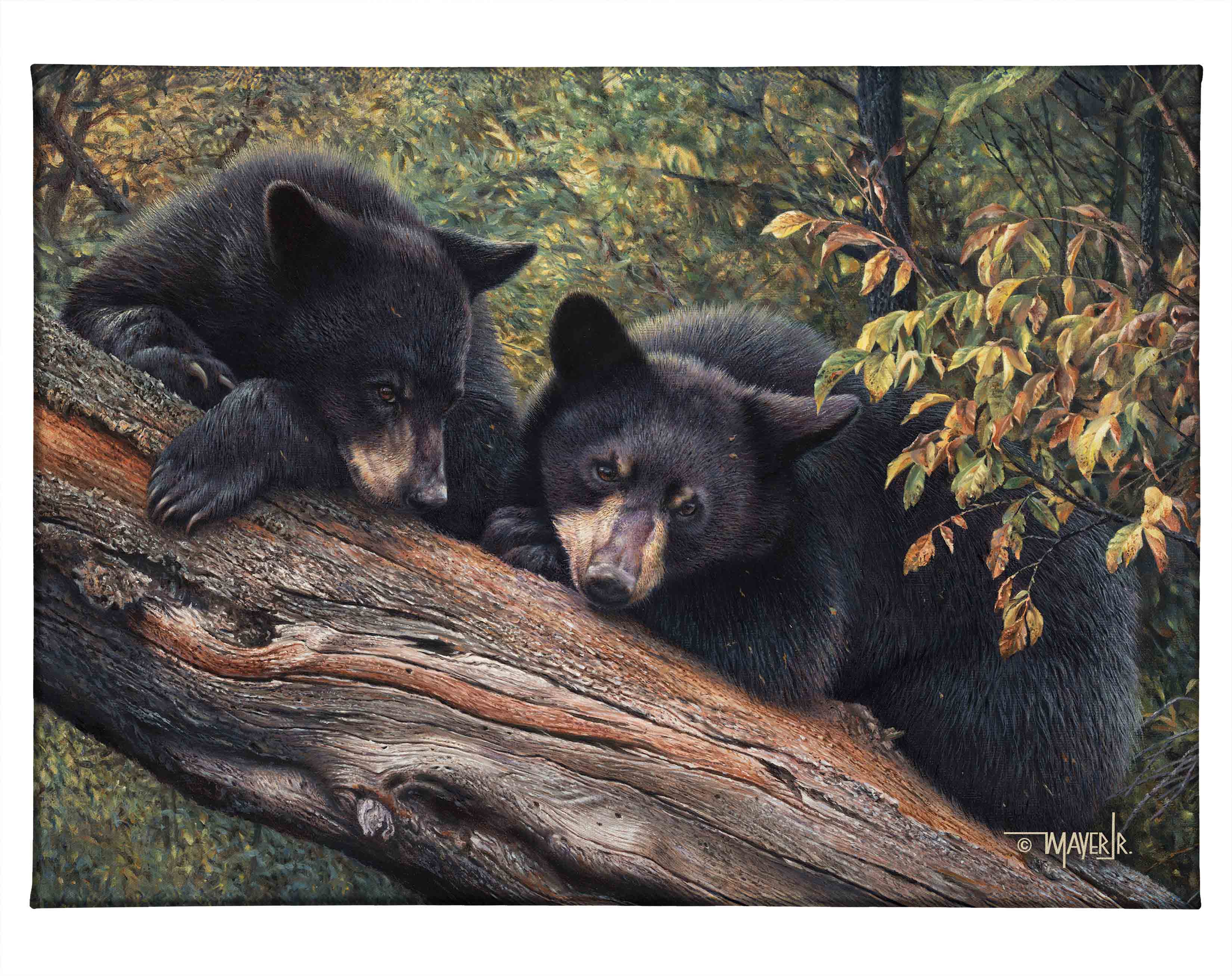 Image of Mom’s Awaiting - 13" x 18" Gallery Wrapped Canvas