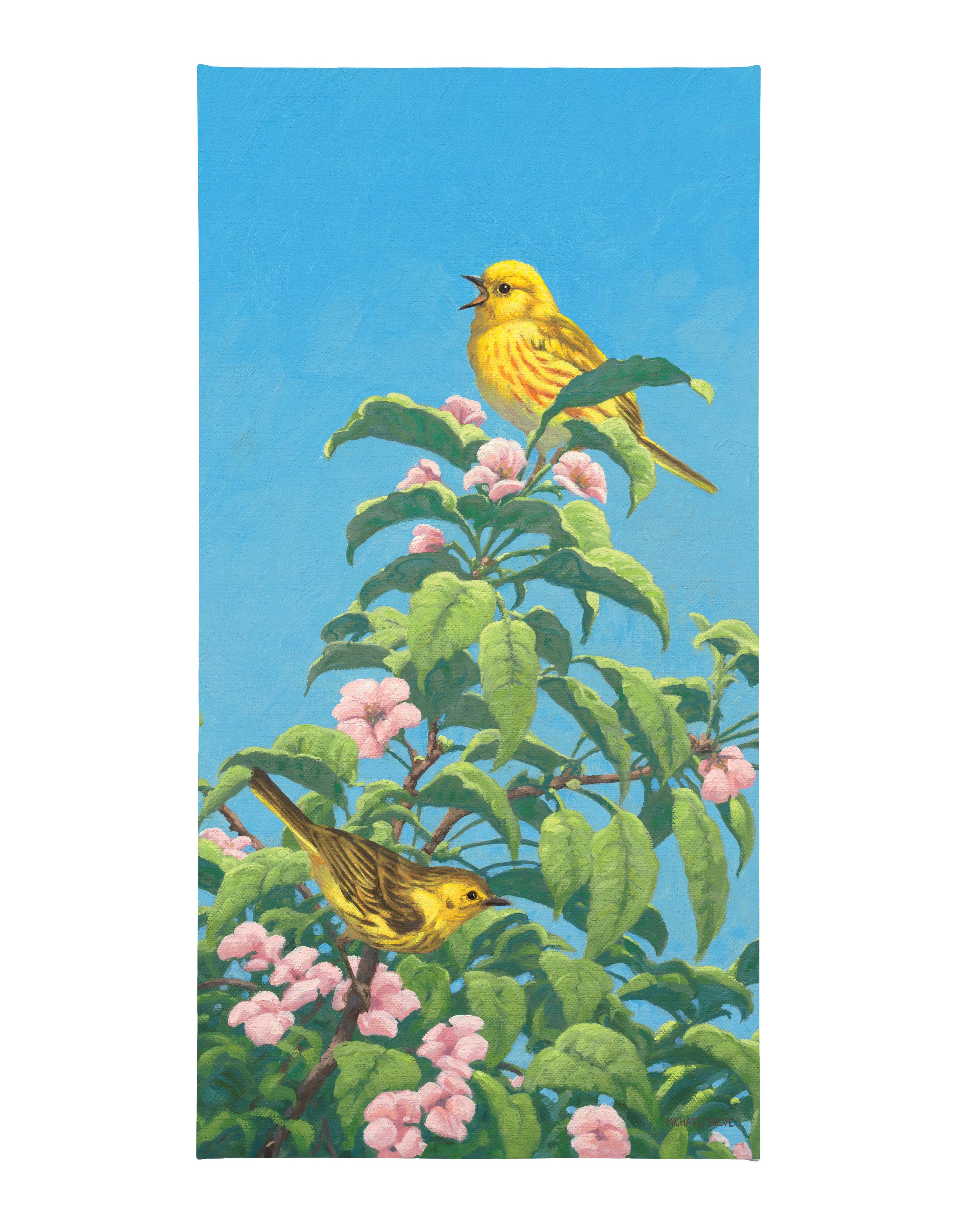Image of Yellow Warbler - 31" x 16" Gallery Wrapped Canvas