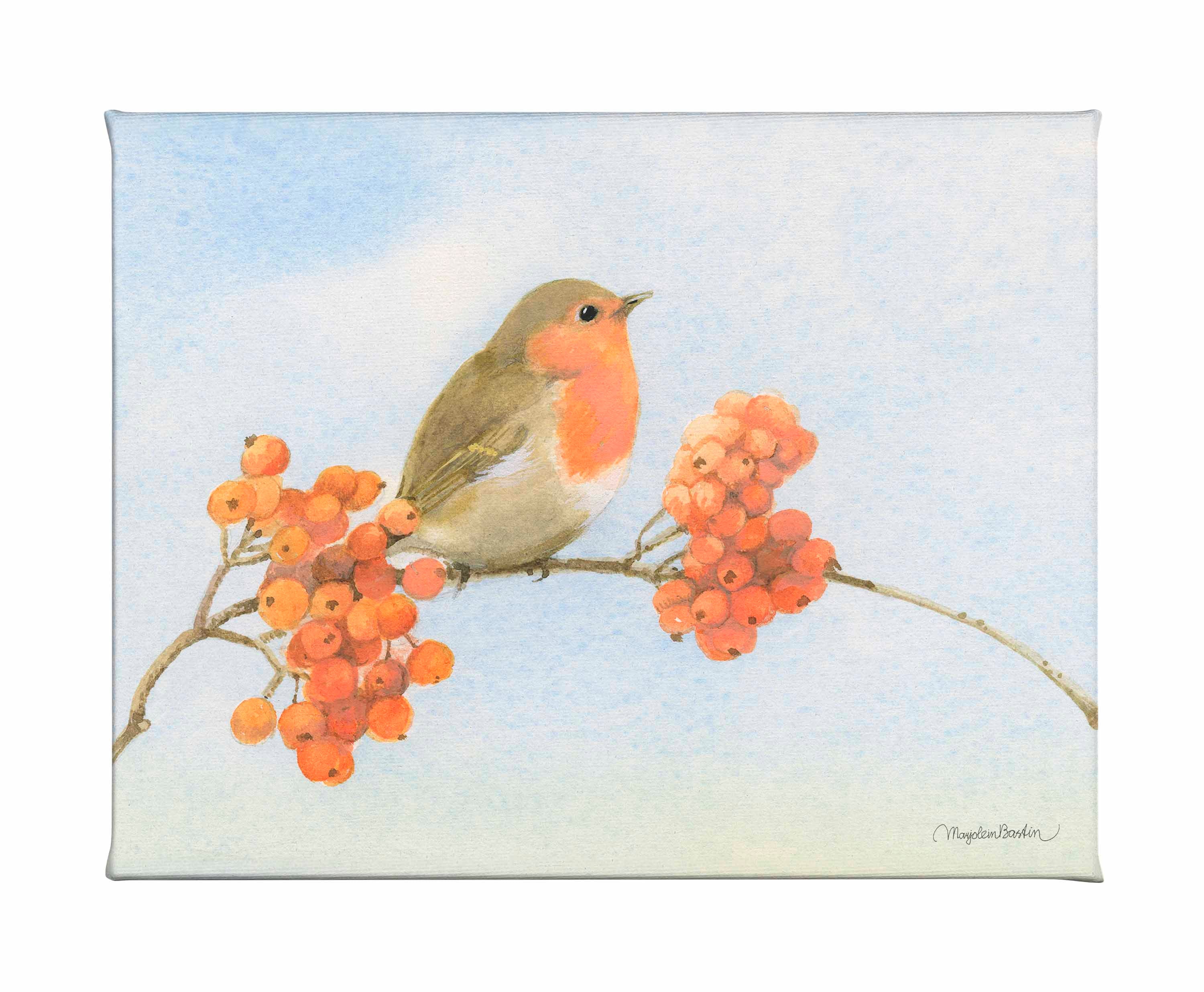 Image of Robin's Camoflage - Gallery Wrapped Canvas