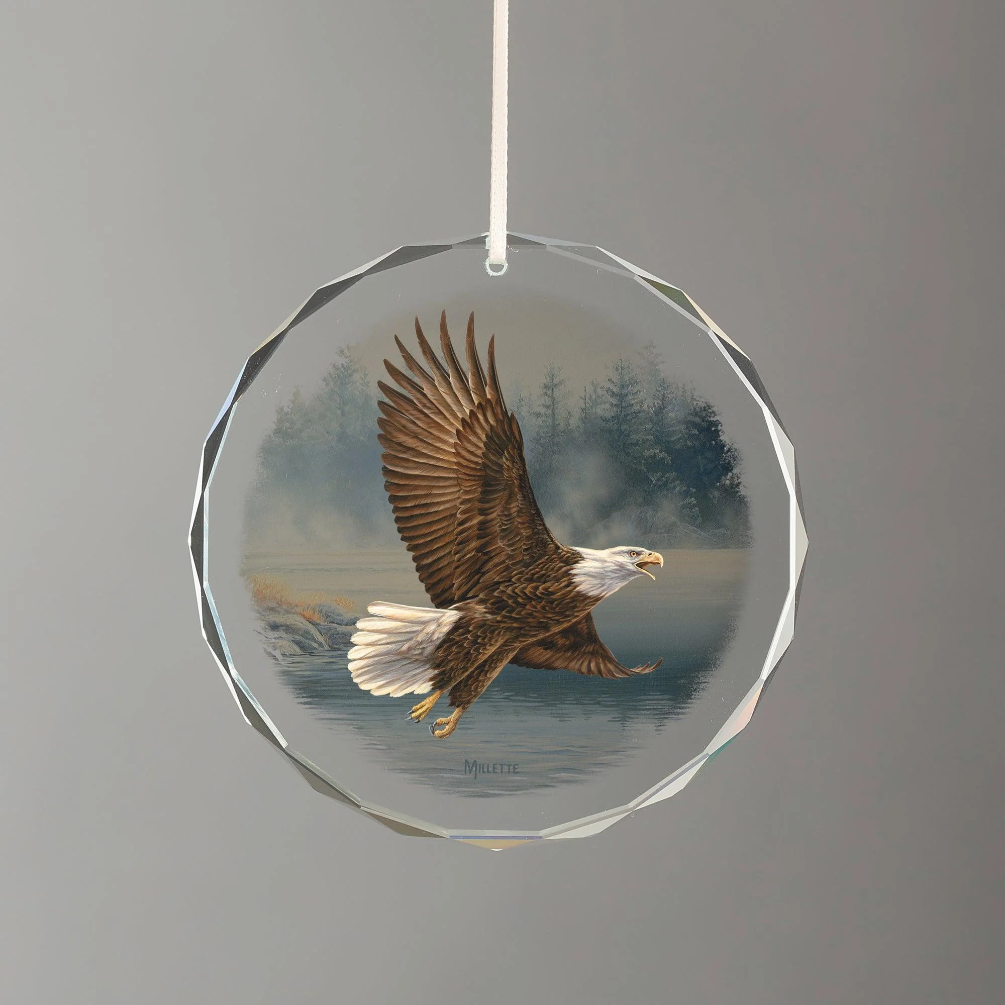 Image of Majestic Flight - Eagle