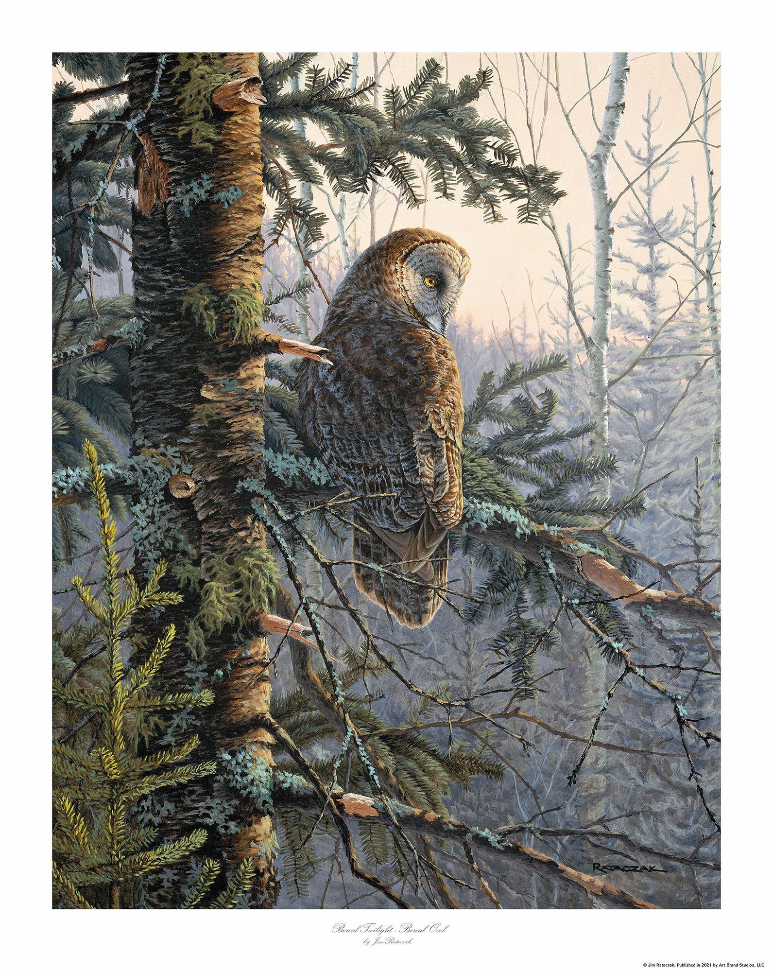 Image of Boreal Twilight-Great Grey Owl