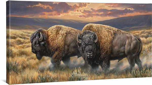 Image of Dusty Plains—Bison - 18" x 36" Gallery Wrapped Canvas
