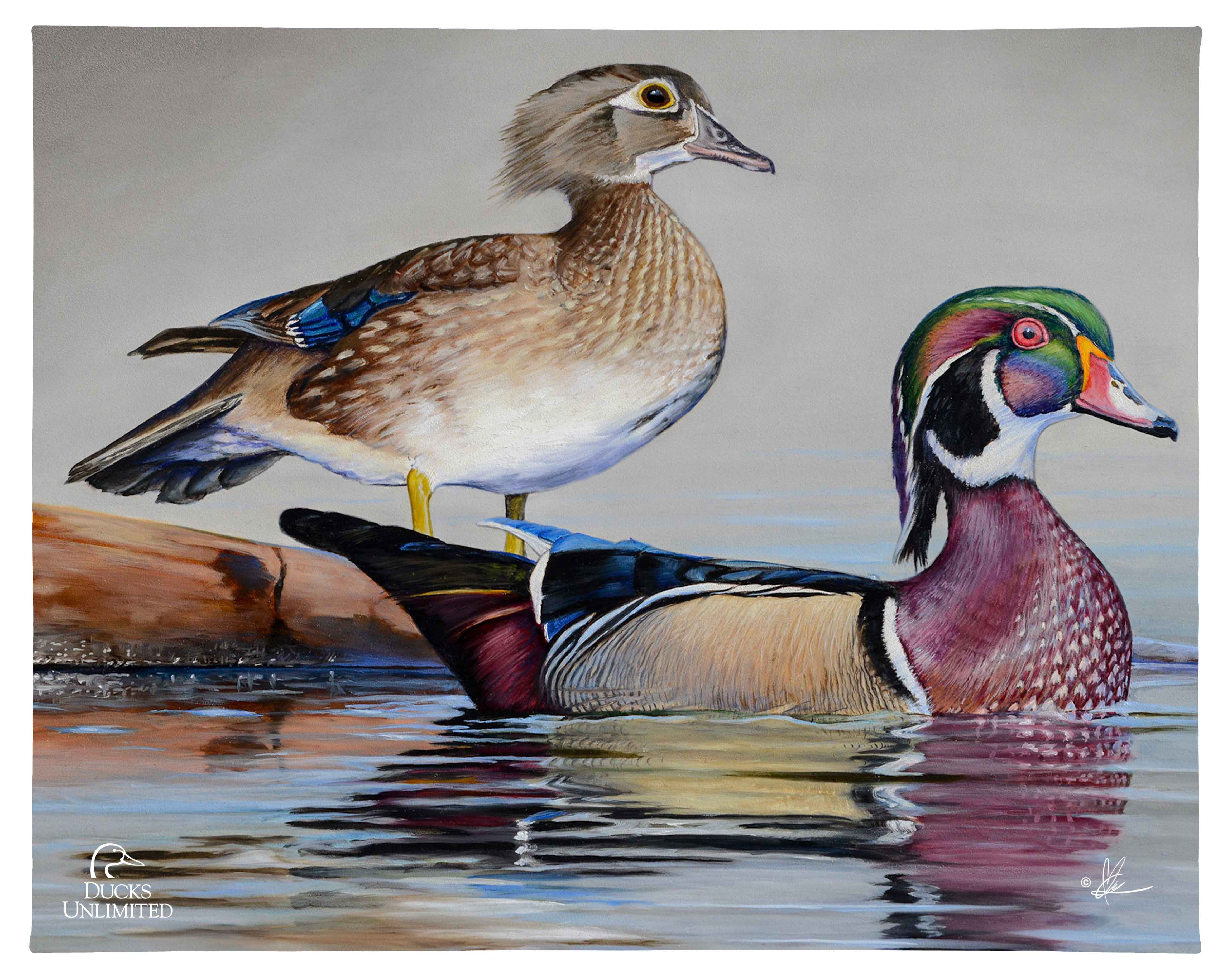 Image of Foggy Day Woodies - 19" x 24" Gallery Wrapped Canvas (Ducks Limited)